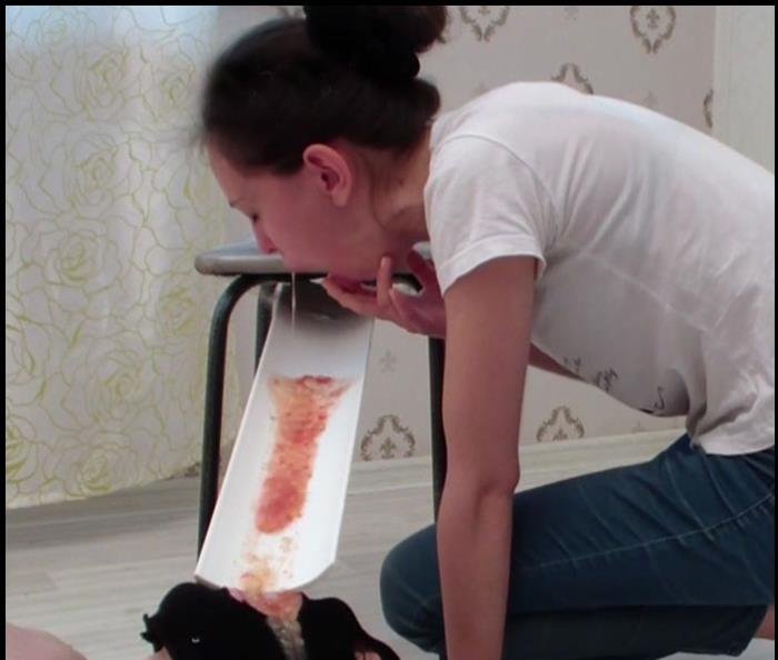 PooAlina (HD 720p) Alina Pukes In Mouth Of A Toilet Slave After A Fish With Pepper And Beer [mp4 / 248 MB /  2018]