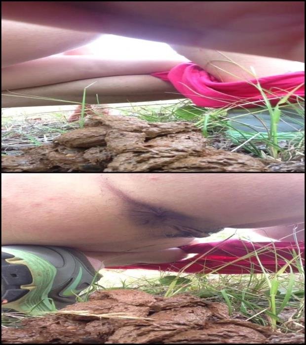 Big pile (HD 720p) Closeup amateur pooping and peeing on outdoor. [MPEG-4 / 268 MB /  2019]