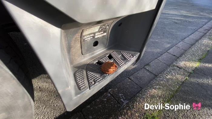 Devil Sophie (UltraHD 4K) OMG - how does the shit get onto the truck running board [mp4 / 338 MB /  2022]