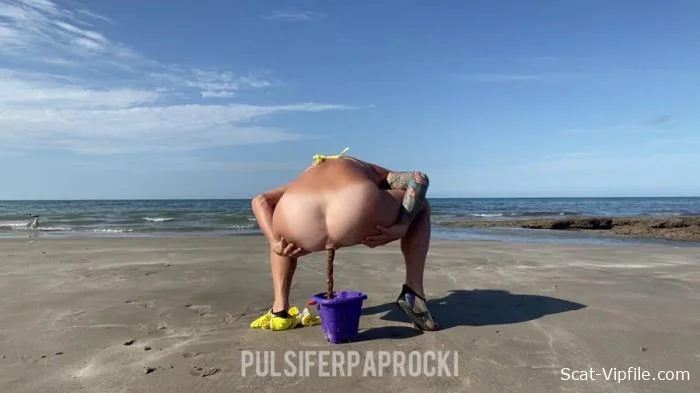PulsiferPaprocki (FullHD 1080p) Beach Bucket Poopd [mp4 / 98.6 MB /  2023]