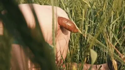 Mia Skye aka MiaRoxxx (HD 720p) Doggystyle Shit In a Field [mp4 / 36.0 MB /  2025]