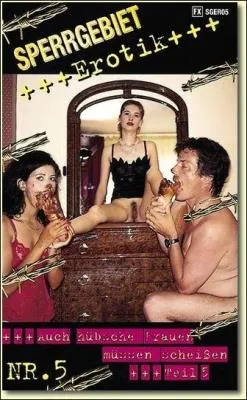 Threesome (DVDRip) Sperrgebiet Erotik 5 [avi / 643 MB /  2025]