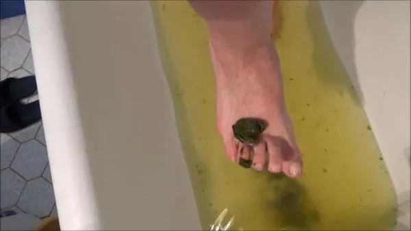 Mistress Roberta (SD) Poop And Enema [mp4 / 382 MB /  2025]