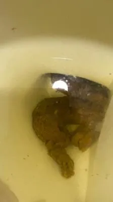 Brownsensations (SD) Shitting On The Bathroom Floor At Work [mp4 / 347 MB /  2025]