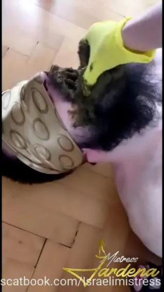 Scat lunch for my dirty slut [mp4 / 32.0 MB /  2026] Kaviar, Humiliation (SD)