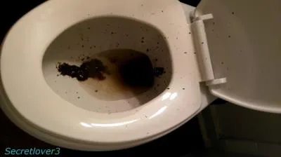 Toilet Spray [mp4 / 568 MB /  2026] Poop, Amateur (FullHD 1080p)
