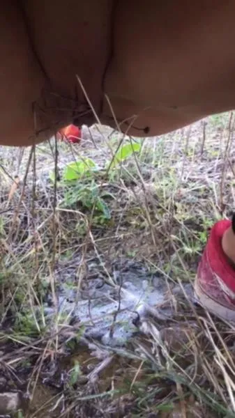 Roadtrip Spain And France 7 Days Pee And Shit Part 1 [mp4 / 1.96 GB /  2026] Solo, Poop (SD)