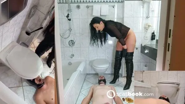Dumme Versagertoilette im Hotel [mp4 / 67.7 MB /  2026] Germany, Scat (HD 720p)