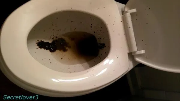 Toilet Spray [mp4 / 568 MB /  2026] Poop, Amateur (FullHD 1080p)