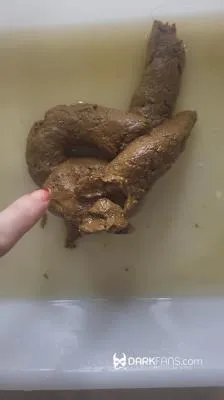 Toilet Pov - Hoy He Hecho Este Delicioso Pastel De Mierda [mp4 / 66.2 MB /  2026] Solo, Toilet Slavery (UltraHD 2K)