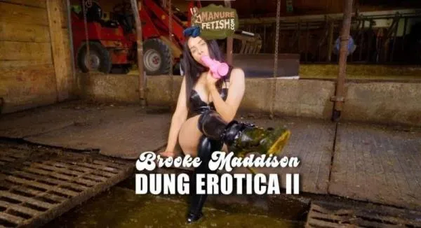 Scat Dung Erotica 2 [mp4 / 971.5 MB /  2026] Cow Shit Fetish (HD 720p)
