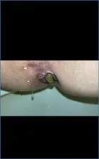 Missellie's Sordid Toilet Slave Shitting, Pissing