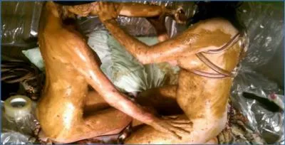 AstraCelestial's Lesbian Scat Orgy - Pissing and Shit Eating Russian