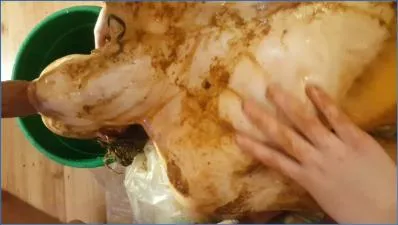 Astra Celestial Enema Shit Eating Orgy - Vile Lesbian Scat & Pissing