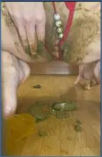 Veronika Takes Commands with Enema, Puke, and Extreme Diarrhea