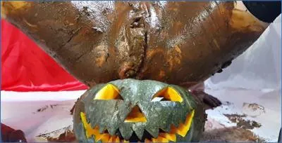 Anna Coprofield Tricks and Treats with POV Prolapse and Farting Fun