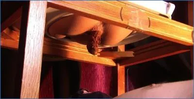 Diana Dominates with Piss and Toilet Slavery Scat/Copro