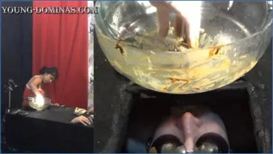 Stupid Slaves Dominate with Vomit and Facesitting in Extreme