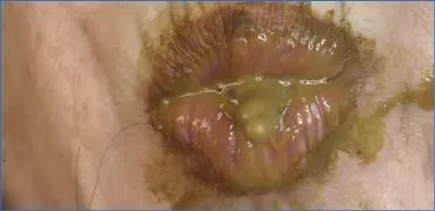 Dirtygardengirl Enema Domination: Vomit and Smearing in POV