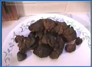 Ashley's Wild Defecation and Coprophagia Romp - Nasty Pooping