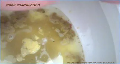 SexyFlatulence Delivers Hardcore Shitting and Pissing in Diarrhea in the Toilet