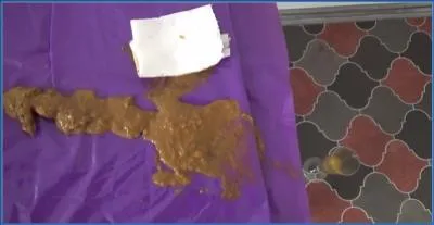 Mistress Roberta Delivers Filthy Diarrhea Scat in Serving Before Feeding