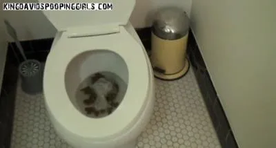 Alina Delivers Hardcore Copro in Drew Huge Toilet Poop for KingDavidsPoopingGirls- Real Poop Porn