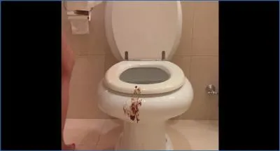Mistress Lily indulges in filthy shitting kaviar in a hotel toilet for true hardcore fans