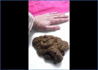 Kim Koettbullar Pushes It Hard in a Real Solo Poop and Kaviar show