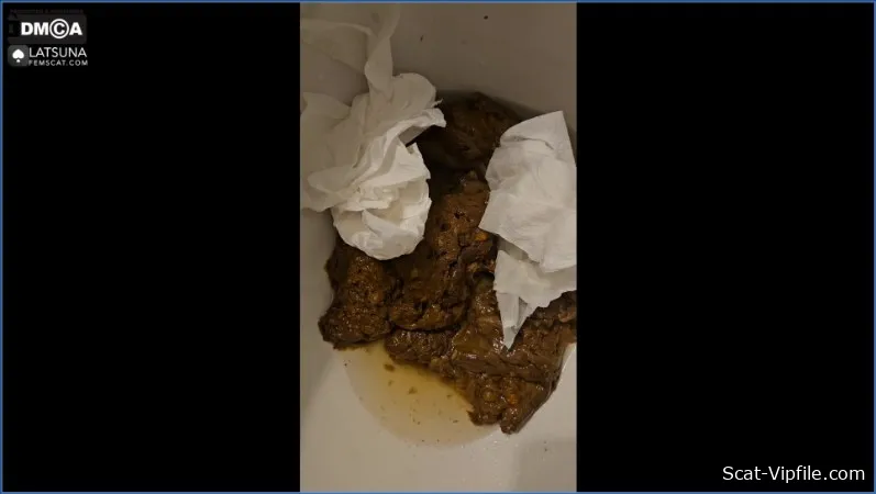 Lady Tsunam in Toilet Miracle Scat, Anal FullHD 1080p