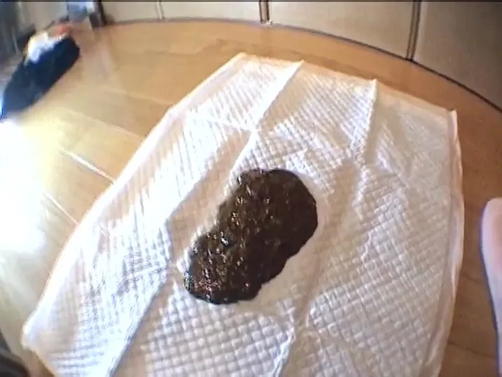 Japanese Kaviar Grind: Long-Form Scat Featuring Steady Defecation
