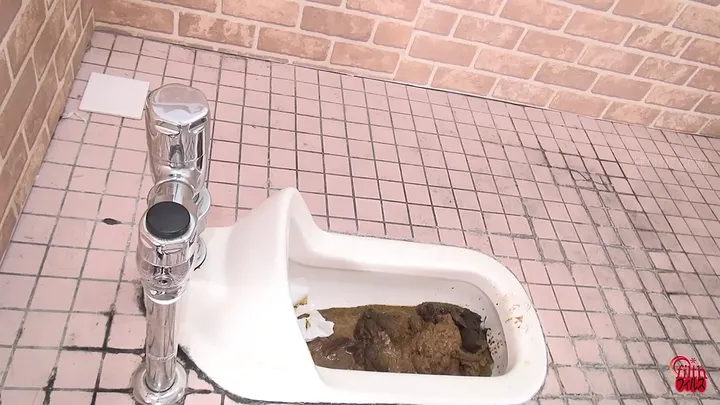 Stinky Poops and Clogged Toilets: A Messy Japanese Scat Outing